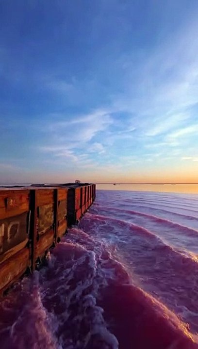 Train Travels Through Picturesque Pink Water