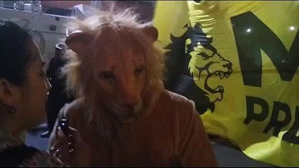 "¿Sos un león o un gatito mimoso?": la mascota de Milei en la arenga callejera del búnker