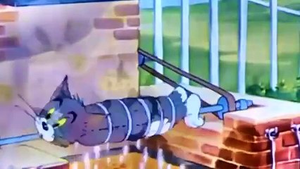 Tom and Jerry, 23 E - Springtime for Thomas (1946)