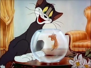 Tom And Jerry, 6 E - Puss N’ Toots (1942) (2)