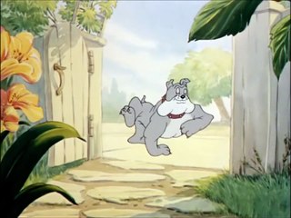 Tom And Jerry, 15 E- The Bodyguard (1944)