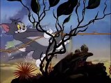 Tom and Jerry, 43 E - The Cat and the Mermouse (1949)