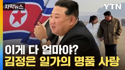 [자막뉴스] 김정은 일가의 명품 사랑, 北에 이렇게 들여온다? / YTN