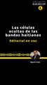EDITORIAL | LAS CÉLULAS OCULTAS DE LAS BANDAS HAITIANAS