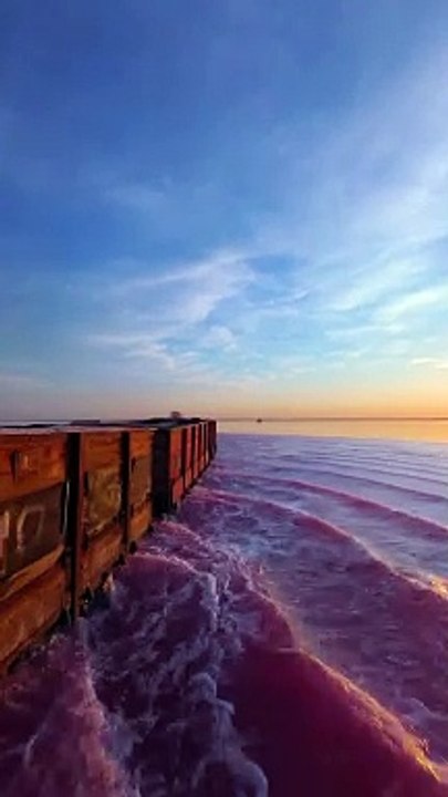 Train Travels Through Picturesque Pink Water