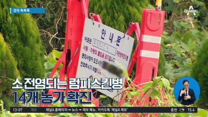 [경제 톡톡톡]소 전염되는 럼피스킨병, 14개 농가 확진