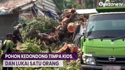 Pohon Kedondong Timpa Kios Handphone, Satu Orang Terluka