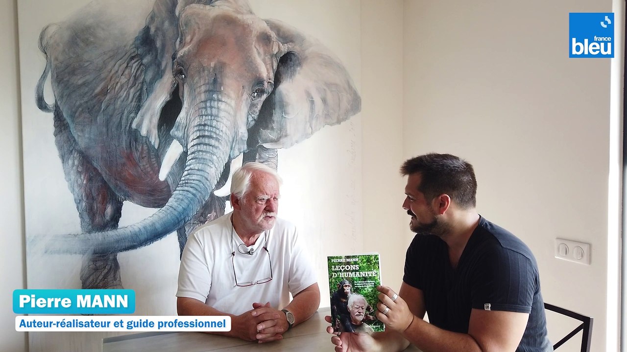 2/6 : les dangers des aventures de Pierre Mann