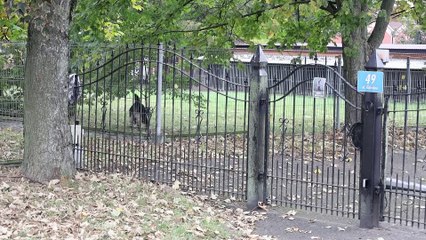 OSP w Chojnicach będzie mieć remizę