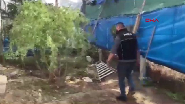 Adana'da torbacı operasyonu