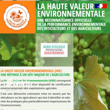 Vins HVE la DGCCRF vous explique