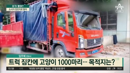 中 맥주 공장 방뇨男 체포…이번엔 ‘고양이 소시지’ 파문
