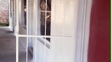 Progress of charcoal walls to white walls
