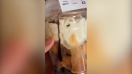 Fly found squashed between cream ‘in Morrisons dessert’