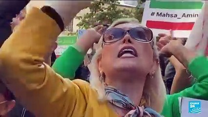 Iranian teenager likely brain dead after alleged assualt by police