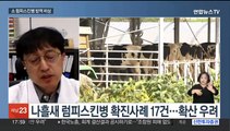 [뉴스워치] 소 럼피스킨병 확산…축산농가 방역 '비상'