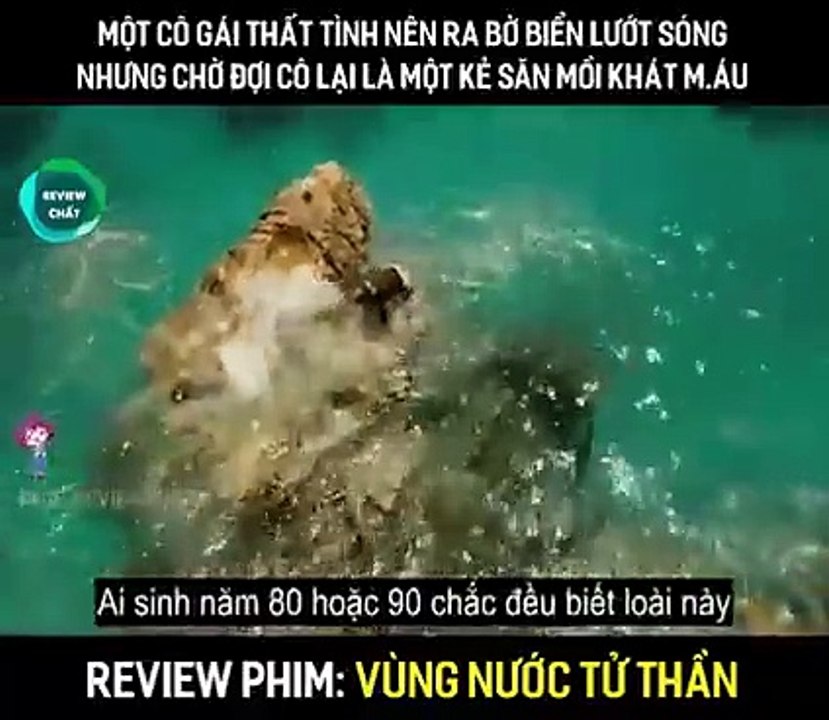 Vùng nước tử thần - The Shallows (2016)