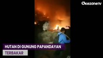 Hutan Gunung Papandayan Terbakar, TNI-Polri Lakukan Pemadaman Manual