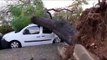 Un fallecido en Huelva y otro en Córdoba tras una borrasca que deja árboles caídos, carreteras cortadas y túneles inundados