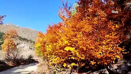 Türkiye'nin sakin şehrine sonbahar geldi! Tablo değil gerçek!