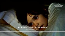 El espíritu de la colmena (1973) - Trailer