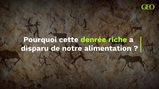 Pourquoi cette denrée riche en nutriments a t-elle disparu de notre alimentation ?