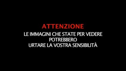 Raid su Gaza, Israele: 320 obiettivi, palestinesi: decine di morti