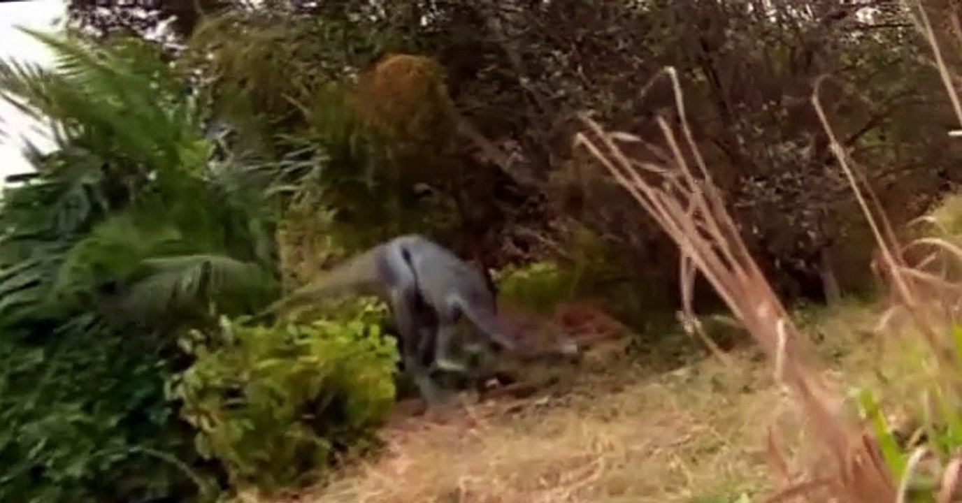 Prehistoric Park Prehistoric Park E004 Saving the Sabretooth