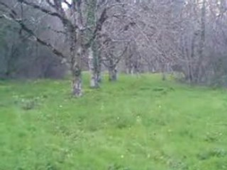 Video-0008