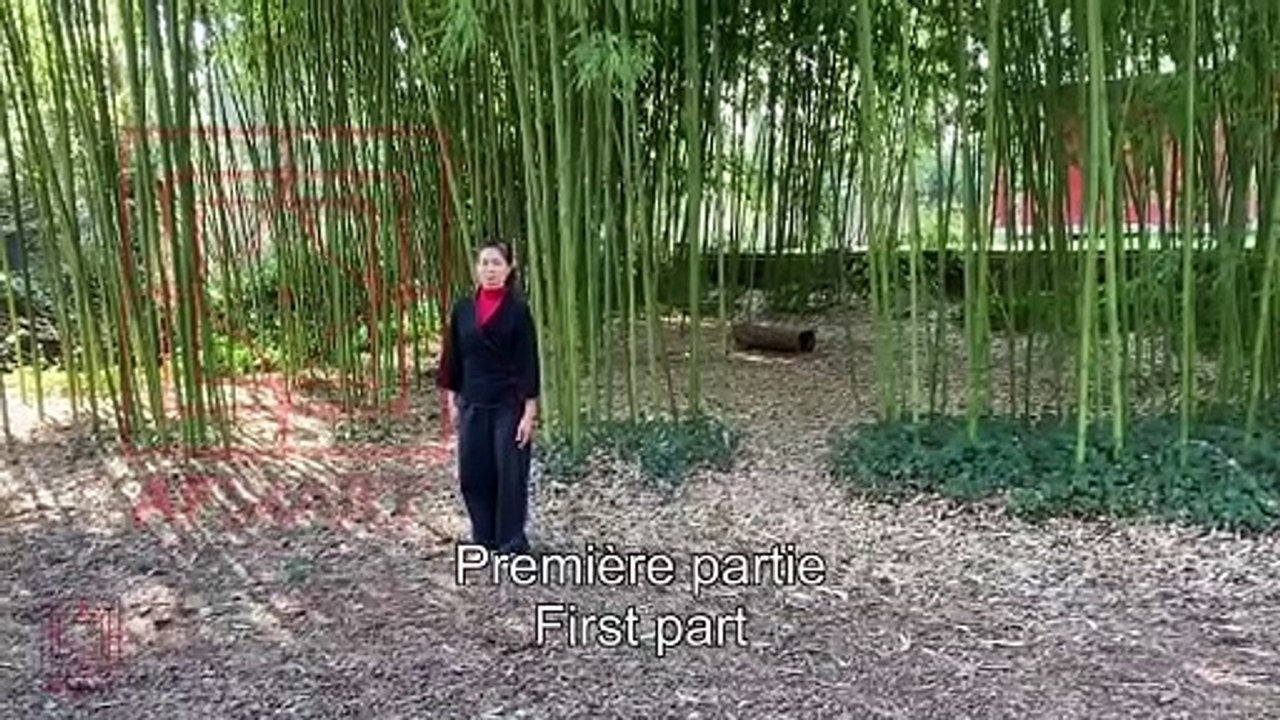 Eventail du Taichi