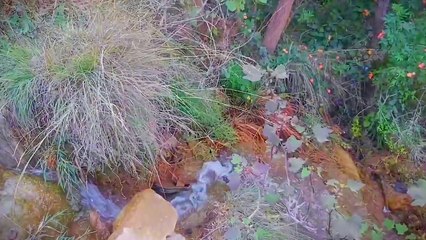 Beautiful view of our river present in azad Kashmir district Kotli tahseel charhoi village ball