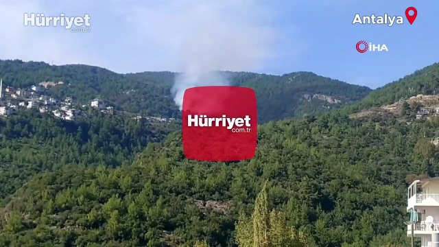 Antalya'nın Alanya ilçesinde orman yangını