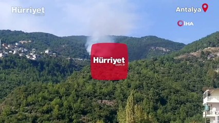 Antalya'nın Alanya ilçesinde orman yangını