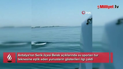 Su sporları teknesine yunus sürprizi