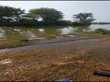 बूंदी ब्रांच कैनाल हुई ओवरफ्लो, खेतों में धान की कटी फसल में भरा पानी-video