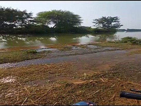 बूंदी ब्रांच कैनाल हुई ओवरफ्लो, खेतों में धान की कटी फसल में भरा पानी-video