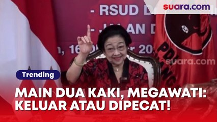 Megawati Ultimatum Kader PDIP yang Main Politik Dua Kaki: Keluar atau Dipecat!