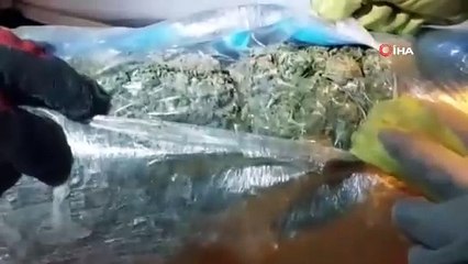 Opération antidrogue d'une valeur de 100 millions de TL à Erzincan