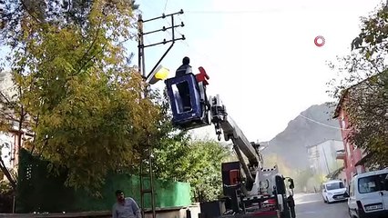 İş makinesi yangına neden oldu