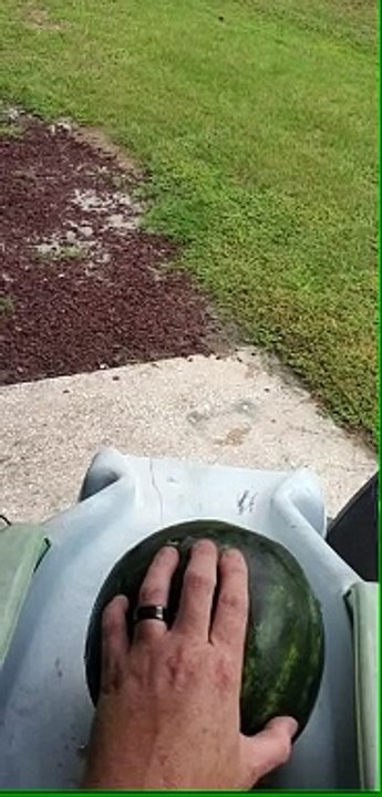 Watermelon - Slide Test
