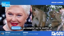 Line Renaud fait une adorable surprise pour célébrer l'anniversaire de Catherine Deneuve.