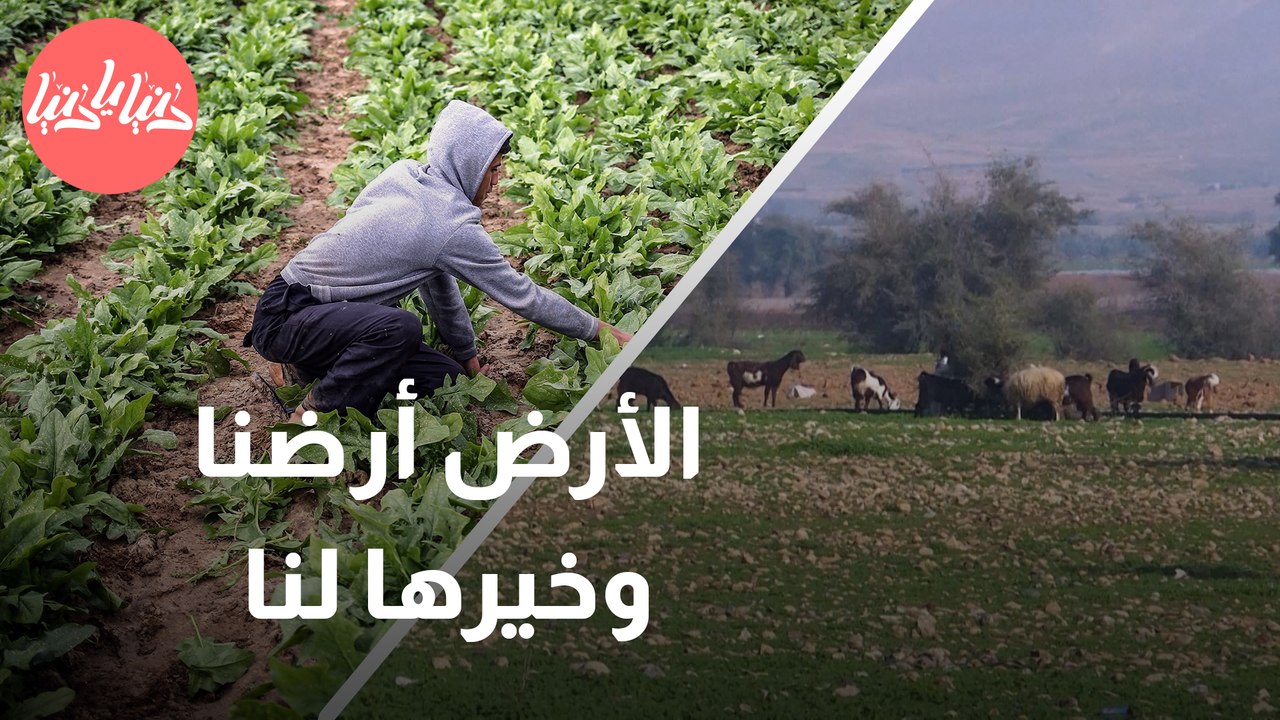 مُزارِعو القطاع يتمسّكون بأرضهم