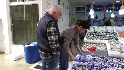 Sinop'ta hamsi fiyatı 40 TL'ye düştü