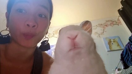 On dit que les animaux ressemblent à leurs propriétaires