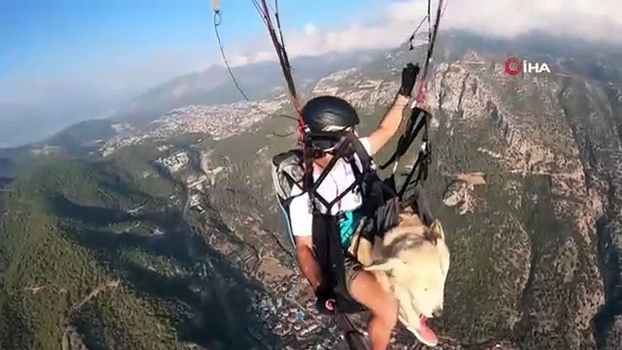 Il a fait un saut en parapente avec son chien, ces moments ont été filmés