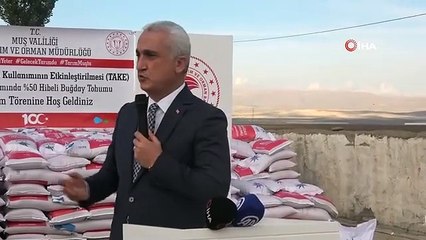 595 tonnes de semences de blé ont commencé à être distribuées à Muş avec le soutien de l'État.
