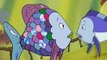 The Rainbow Fish Rainbow Fish E050 Chomper, Master Thespian