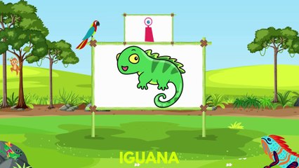 ABCD full course | the Best Of Abcd!  | abcd - A Catchy Title For A Youtube Video