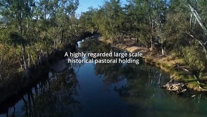Warroo Station, Southern Downs, Qld | October 24, 2023 | Farmonline