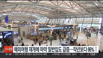 해외여행 재개에 마약 밀반입도 급증…작년보다 66%↑